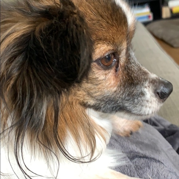 Meet your Posher, Kelly - Picture 1 of 1